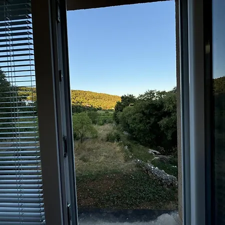 Sun *
